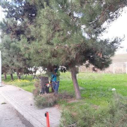 Bakım ve Onarım Çalışmaları